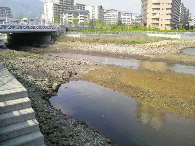 生田川河口